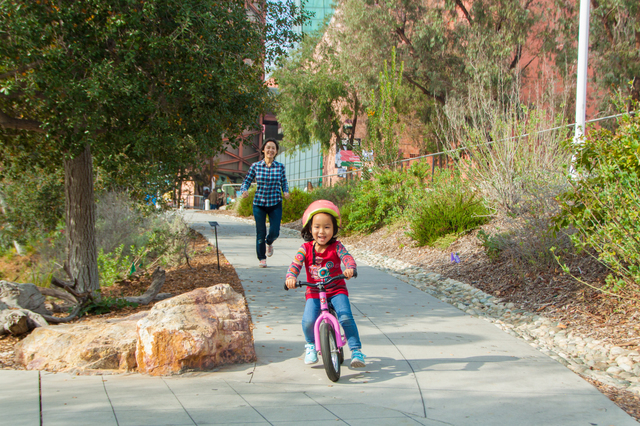 ストライダーで遊ぶ親子,ペダルなし,自転車,