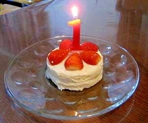 1歳のバースデーケーキはパンとヨーグルトで！,離乳食,ヨーグルト,