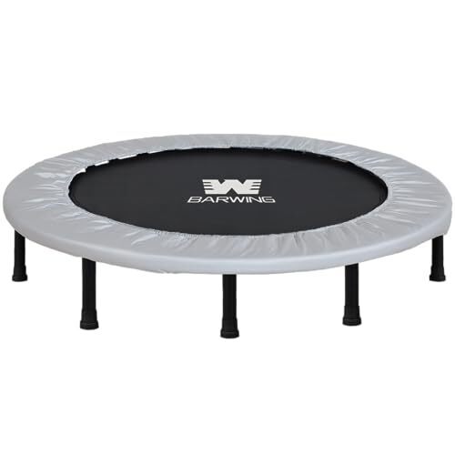 BARWING(バーウィング) 2023年新モデル登場 トランポリン 8本脚 静音 耐荷重150kg 102cm ハンドル付き トランポリン 子供用 大人用 ダイエット クッション トランポリン 折りたたみ 大きい折り畳み おりたたみ トランポリン カバー トレーニング (ミストグレー) (ミストグレー),ミニトランポリン,