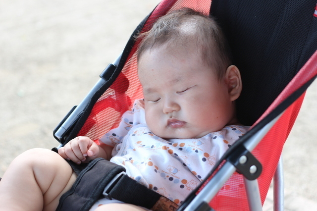 B型ベビーカーで寝る子ども,B型ベビーカー ,
