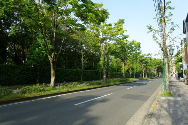 公道,キックボード,子ども,