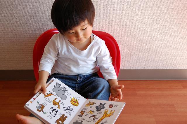 2歳の男の子と絵本,絵本,2歳,