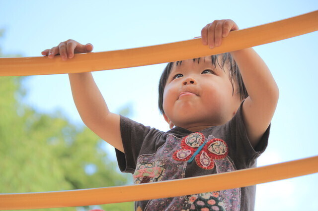 アスレチックで遊ぶ子ども,おもちゃ,2歳,
