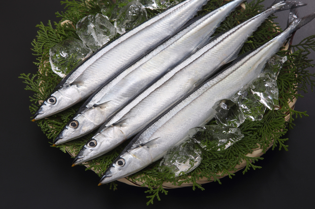 さんま,離乳食,完了期,