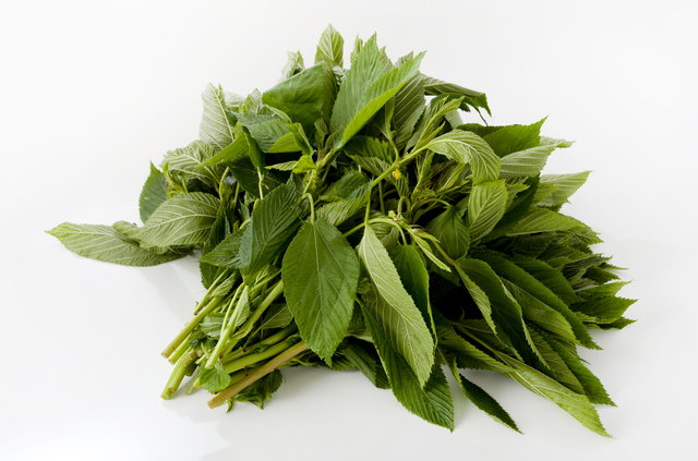 モロヘイヤ,離乳食,完了期,