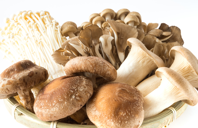 きのこ,離乳食,完了期,