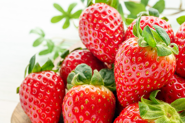 あまおう,ふるさと納税,おすすめ,返礼品