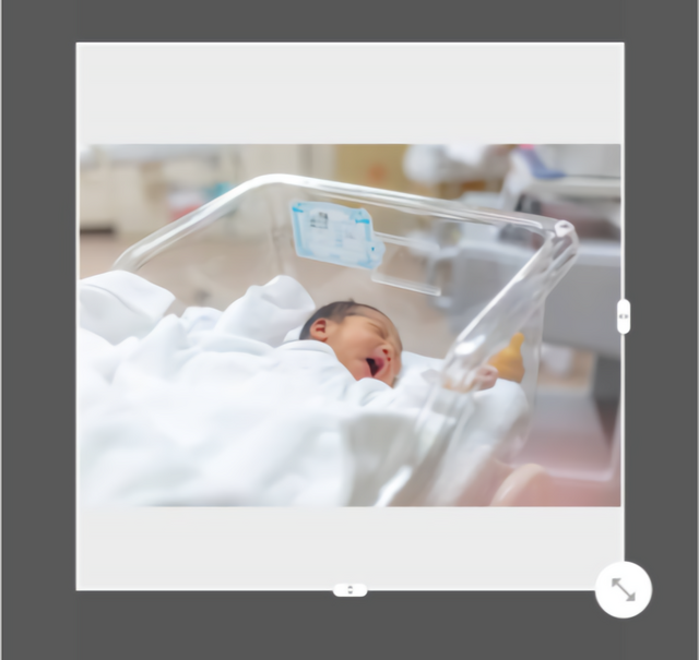 ,命名紙・命名書,テンプレ,無料プレゼント