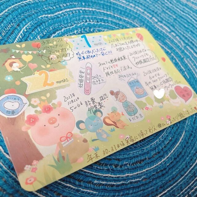 マタニティ記録活用例,フレークシール,作り方 使い方,育児日記 マタニティ