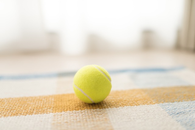 テニスボール,妊娠,9週,症状