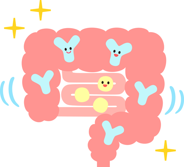 ビフィズス菌,ミルク,ほほえみ,