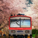 電車とバスの博物館