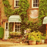 エスニック料理