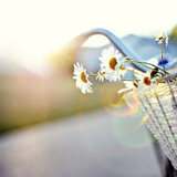 杉並児童交通公園