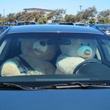 コストコ金沢シーサイド