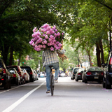 レンタル自転車