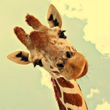 東京都多摩動物公園