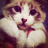 ナンジャタウン