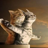 ドラゴンボール