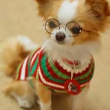 箱根バーベキューテラスWimpy