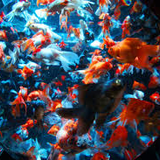 COREDO コレド室町