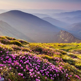 ソレイユの丘公園