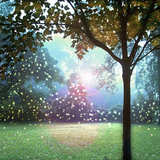 那須フィッシュランド