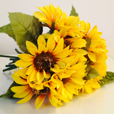 ハーベストの丘