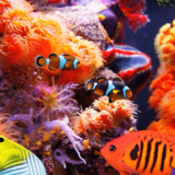 葛西臨海水族園