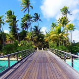 ベビーサービス