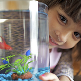 ジャングルジム