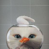 八景島シーパラダイス