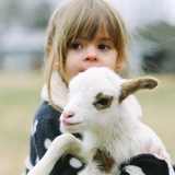 農園レストラン