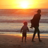 ネットスーパー