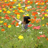 フラワーパーク