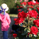 海の中道海浜公園